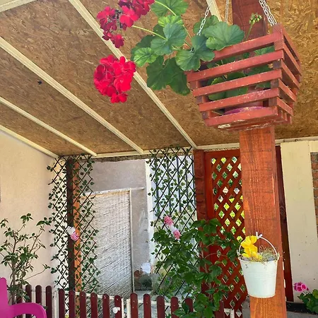 Apartman Kod Bake Sokobanja