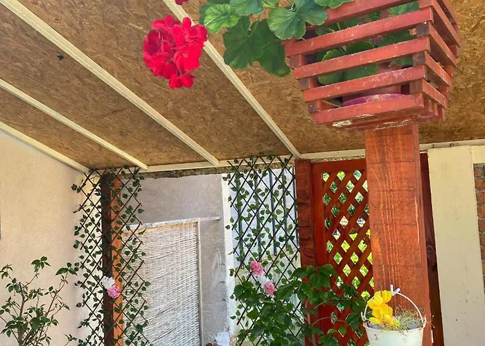 Apartman Kod Bake Sokobanja